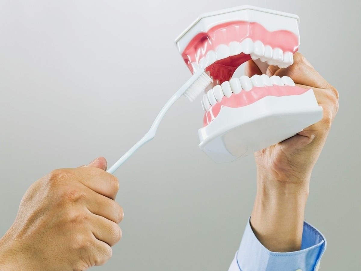 Hands demonstrating toothbrushing on a dental model