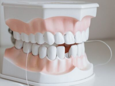 Dental model with floss threaded between the teeth