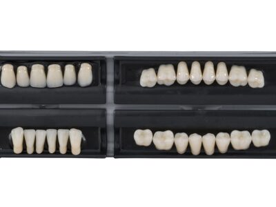 Sets of prosthetic teeth in dental shade trays